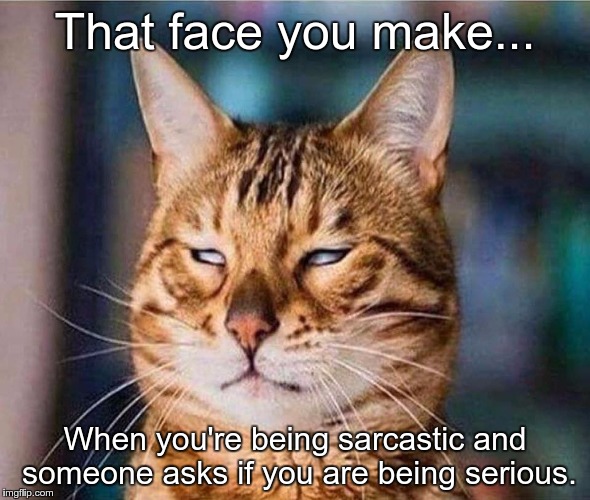 that face you make eyeroll cat | That face you make... When you're being sarcastic and someone asks if you are being serious. | image tagged in that face you make eyeroll cat | made w/ Imgflip meme maker