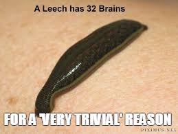 leechy friends | FOR A 'VERY TRIVIAL' REASON | image tagged in no friends | made w/ Imgflip meme maker