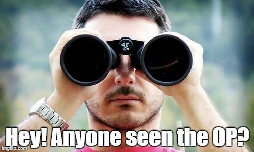 binoculars |  Hey! Anyone seen the OP? | image tagged in meme | made w/ Imgflip meme maker