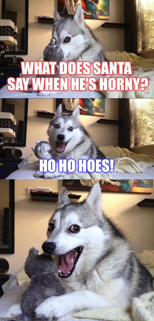 Bad Pun Dog Meme | WHAT DOES SANTA SAY WHEN HE'S HORNY? HO HO HOES! | image tagged in memes,bad pun dog | made w/ Imgflip meme maker