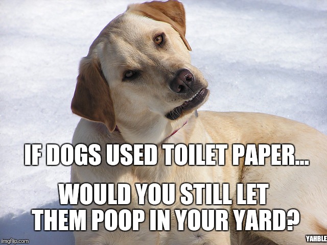 dog huh? | IF DOGS USED TOILET PAPER... WOULD YOU STILL LET THEM POOP IN YOUR YARD? YAHBLE | image tagged in dog huh | made w/ Imgflip meme maker
