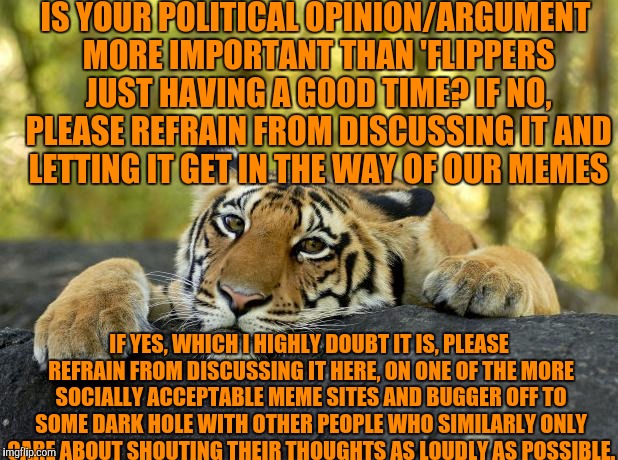 This is what this site was meant for in the first place anyway. Thank you for your cooperation. | IS YOUR POLITICAL OPINION/ARGUMENT MORE IMPORTANT THAN 'FLIPPERS JUST HAVING A GOOD TIME? IF NO, PLEASE REFRAIN FROM DISCUSSING IT AND LETTING IT GET IN THE WAY OF OUR MEMES; IF YES, WHICH I HIGHLY DOUBT IT IS, PLEASE REFRAIN FROM DISCUSSING IT HERE, ON ONE OF THE MORE SOCIALLY ACCEPTABLE MEME SITES AND BUGGER OFF TO SOME DARK HOLE WITH OTHER PEOPLE WHO SIMILARLY ONLY CARE ABOUT SHOUTING THEIR THOUGHTS AS LOUDLY AS POSSIBLE. | image tagged in memes,good times,political opinion,unimportant,bugger off,leave us to enjoy ourselves | made w/ Imgflip meme maker