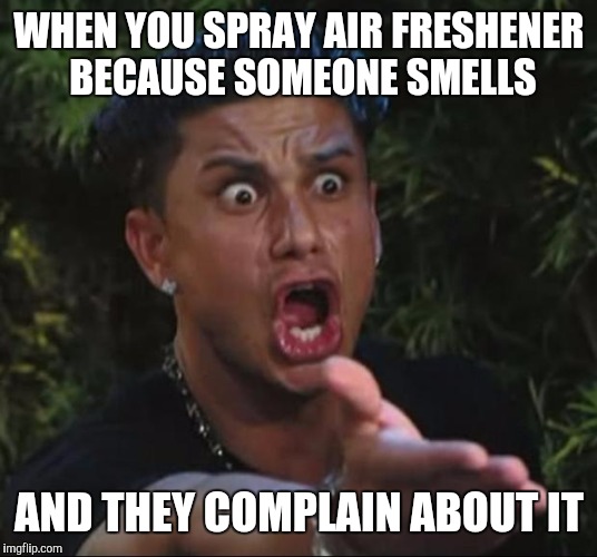 The face you make | WHEN YOU SPRAY AIR FRESHENER BECAUSE SOMEONE SMELLS; AND THEY COMPLAIN ABOUT IT | image tagged in memes,dj pauly d | made w/ Imgflip meme maker