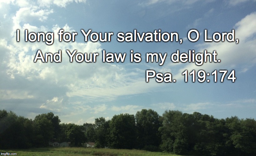I long for Your salvation, O Lord, And Your law is my delight. Psa. 119:174 | image tagged in delight | made w/ Imgflip meme maker