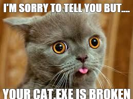 All Hail Lord Catnip | I'M SORRY TO TELL YOU BUT.... YOUR CAT.EXE IS BROKEN | image tagged in derpy,cute cat | made w/ Imgflip meme maker
