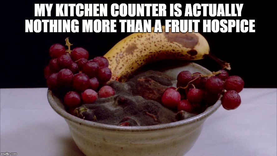 rotting fruit | MY KITCHEN COUNTER IS ACTUALLY NOTHING MORE THAN A FRUIT HOSPICE | image tagged in fruit,funny,funny memes,memes,healthy | made w/ Imgflip meme maker