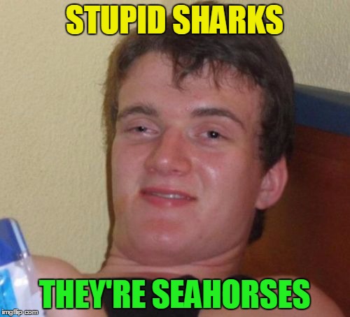 10 Guy Meme | STUPID SHARKS THEY'RE SEAHORSES | image tagged in memes,10 guy | made w/ Imgflip meme maker