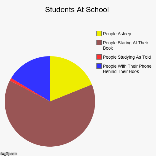 100% True With Students | image tagged in funny,pie charts | made w/ Imgflip chart maker
