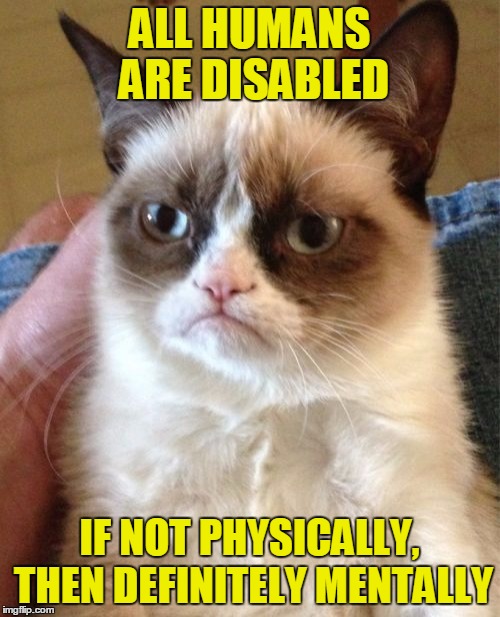 Grumpy Cat Meme | ALL HUMANS ARE DISABLED IF NOT PHYSICALLY, THEN DEFINITELY MENTALLY | image tagged in memes,grumpy cat | made w/ Imgflip meme maker