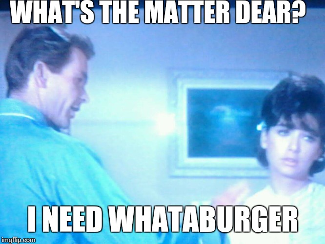 I'm way too hungover for this no whataburger having town. | WHAT'S THE MATTER DEAR? I NEED WHATABURGER | image tagged in hildigar dagmar ermtrude,hangover,fast food | made w/ Imgflip meme maker