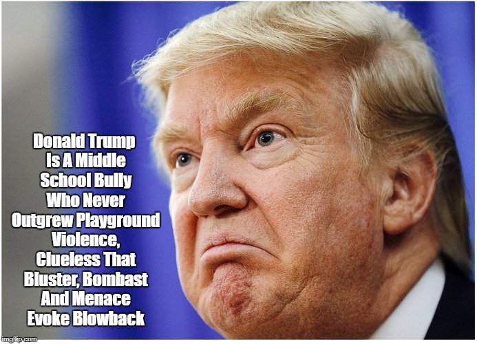 Donald Trump Is A Middle School Bully Who Never Outgrew Playground Violence, Clueless That Bluster, Bombast And Menace Evoke Blowback | made w/ Imgflip meme maker
