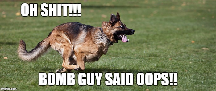 OH SHIT!!! BOMB GUY SAID OOPS!! | image tagged in gsd | made w/ Imgflip meme maker