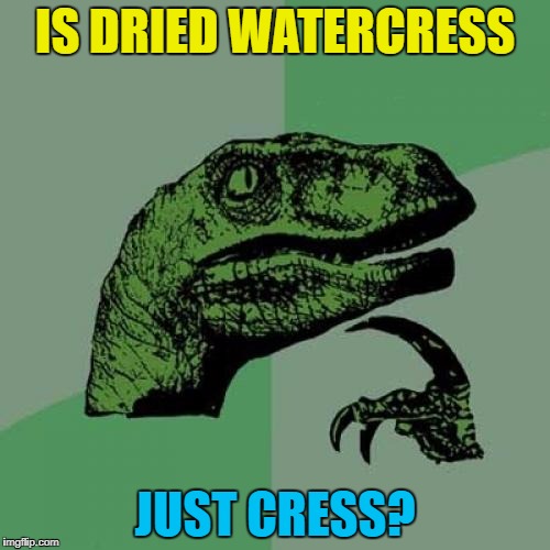 Is buffalo just a dried out water buffalo? :) | IS DRIED WATERCRESS; JUST CRESS? | image tagged in memes,philosoraptor,watercress,cress,food,cooking | made w/ Imgflip meme maker