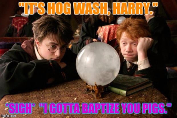 "IT'S HOG WASH, HARRY." *SIGH*  "I GOTTA BAPTIZE YOU PIGS." | made w/ Imgflip meme maker