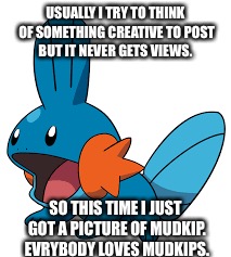 Mudkips | USUALLY I TRY TO THINK OF SOMETHING CREATIVE TO POST BUT IT NEVER GETS VIEWS. SO THIS TIME I JUST GOT A PICTURE OF MUDKIP. EVRYBODY LOVES MUDKIPS. | image tagged in memes | made w/ Imgflip meme maker