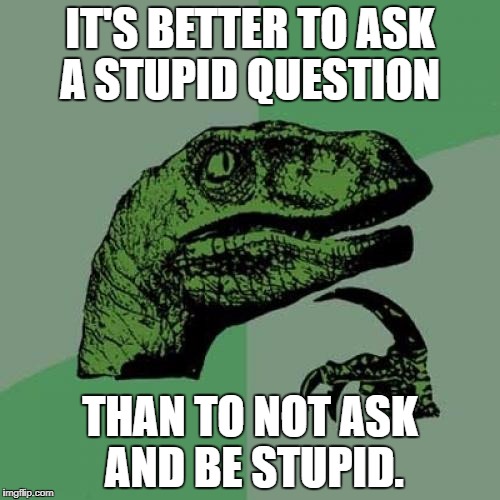 Philosoraptor | IT'S BETTER TO ASK A STUPID QUESTION; THAN TO NOT ASK AND BE STUPID. | image tagged in memes,philosoraptor | made w/ Imgflip meme maker