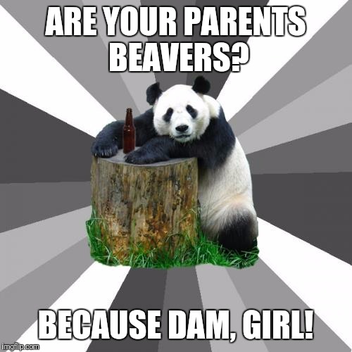 Pickup Line Panda | ARE YOUR PARENTS BEAVERS? BECAUSE DAM, GIRL! | image tagged in memes,pickup line panda | made w/ Imgflip meme maker