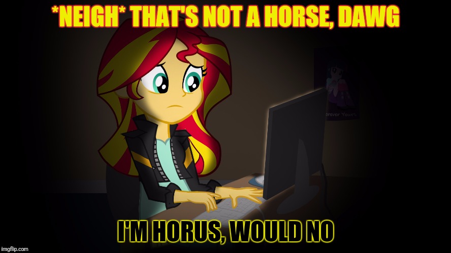 OneDoesNotSimplyFuckWithSunsetsFacebook | *NEIGH* THAT'S NOT A HORSE, DAWG I'M HORUS, WOULD NO | image tagged in onedoesnotsimplyfuckwithsunsetsfacebook | made w/ Imgflip meme maker