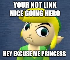 im not Zelda  | YOUR NOT LINK NICE GOING HERO; HEY EXCUSE ME PRINCESS | image tagged in im not zelda | made w/ Imgflip meme maker