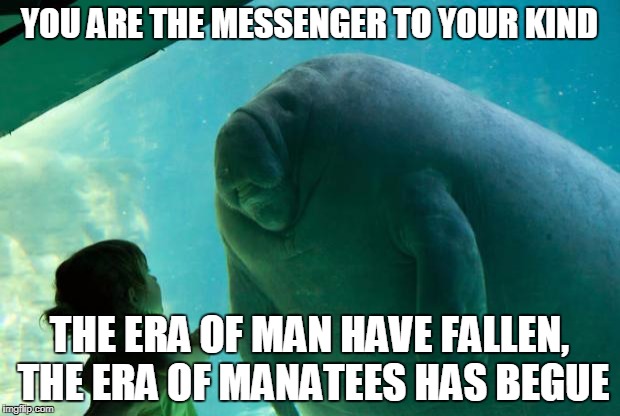 Overlord Manatee | YOU ARE THE MESSENGER TO YOUR KIND; THE ERA OF MAN HAVE FALLEN, THE ERA OF MANATEES HAS BEGUE | image tagged in overlord manatee | made w/ Imgflip meme maker