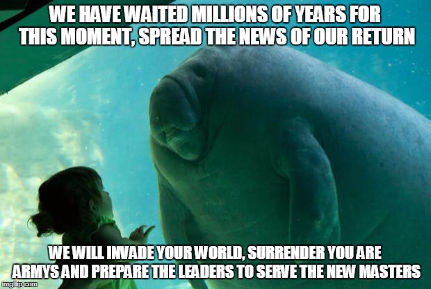 Overlord Manatee | WE HAVE WAITED MILLIONS OF YEARS FOR THIS MOMENT, SPREAD THE NEWS OF OUR RETURN; WE WILL INVADE YOUR WORLD, SURRENDER YOU ARE ARMYS AND PREPARE THE LEADERS TO SERVE THE NEW MASTERS | image tagged in overlord manatee | made w/ Imgflip meme maker