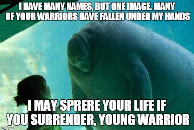 Overlord Manatee | I HAVE MANY NAMES, BUT ONE IMAGE. MANY OF YOUR WARRIORS HAVE FALLEN UNDER MY HANDS; I MAY SPRERE YOUR LIFE IF YOU SURRENDER, YOUNG WARRIOR | image tagged in overlord manatee | made w/ Imgflip meme maker