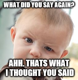 Skeptical Baby | WHAT DID YOU SAY AGAIN? AHH. THATS WHAT I THOUGHT YOU SAID | image tagged in memes,skeptical baby | made w/ Imgflip meme maker