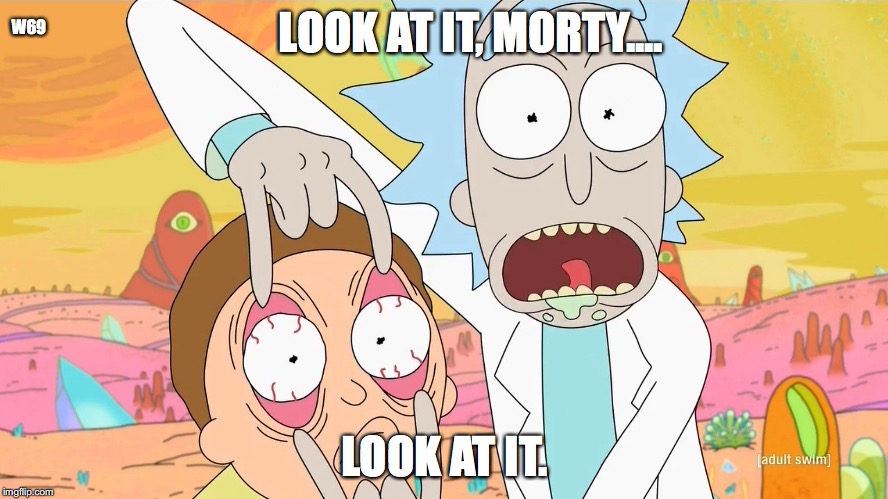 Rick and Morty Scam | W69; LOOK AT IT, MORTY.... LOOK AT IT. | image tagged in rick and morty scam | made w/ Imgflip meme maker