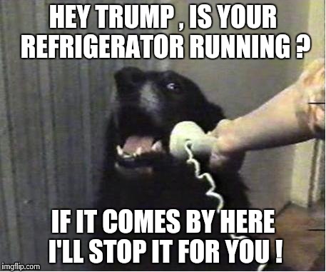 It's for you | HEY TRUMP , IS YOUR REFRIGERATOR RUNNING ? IF IT COMES BY HERE I'LL STOP IT FOR YOU ! | image tagged in it's for you | made w/ Imgflip meme maker