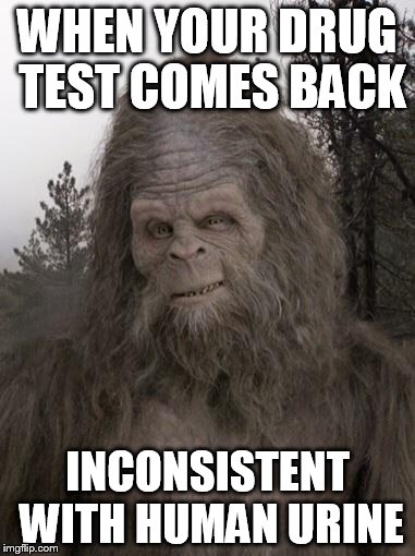 Sasquatch | WHEN YOUR DRUG TEST COMES BACK; INCONSISTENT WITH HUMAN URINE | image tagged in sasquatch | made w/ Imgflip meme maker