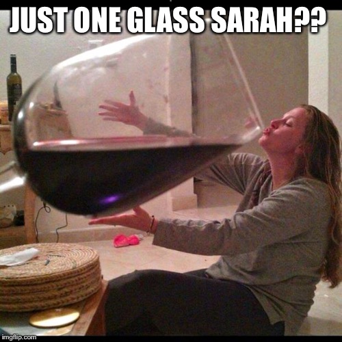 Wine Drinker | JUST ONE GLASS SARAH?? | image tagged in wine drinker | made w/ Imgflip meme maker