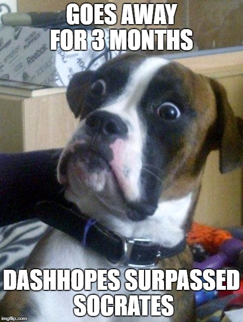 Suprised Boxer | GOES AWAY FOR 3 MONTHS; DASHHOPES SURPASSED SOCRATES | image tagged in suprised boxer,memes | made w/ Imgflip meme maker