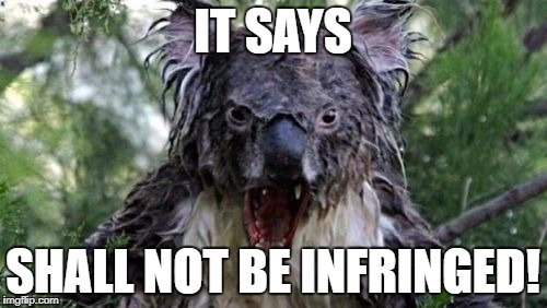 Angry Koala Meme | IT SAYS; SHALL NOT BE INFRINGED! | image tagged in memes,angry koala | made w/ Imgflip meme maker