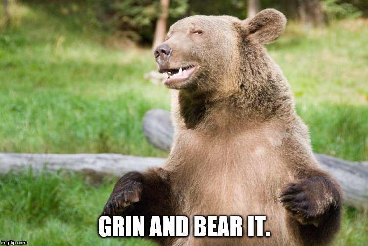 GRIN AND BEAR IT. | image tagged in smiley bear | made w/ Imgflip meme maker