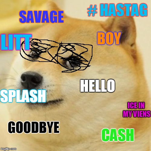 Doge Meme | # HASTAG; SAVAGE; LITT; BOY; SPLASH; HELLO; ICE IN MY VIENS; GOODBYE; CASH | image tagged in memes,doge | made w/ Imgflip meme maker