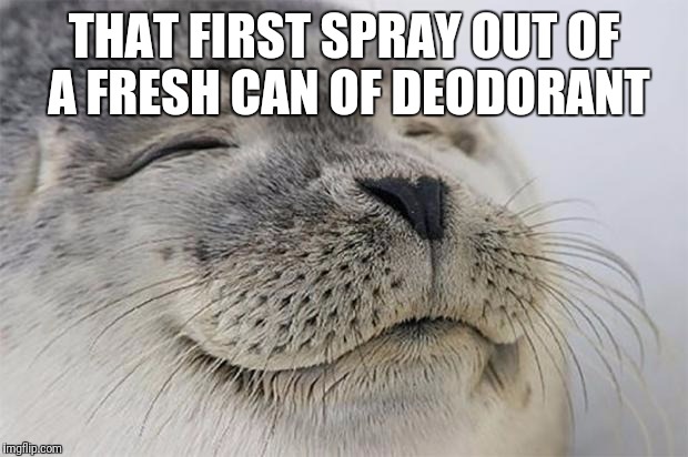 Satisfied Seal Meme | THAT FIRST SPRAY OUT OF A FRESH CAN OF DEODORANT | image tagged in memes,satisfied seal | made w/ Imgflip meme maker