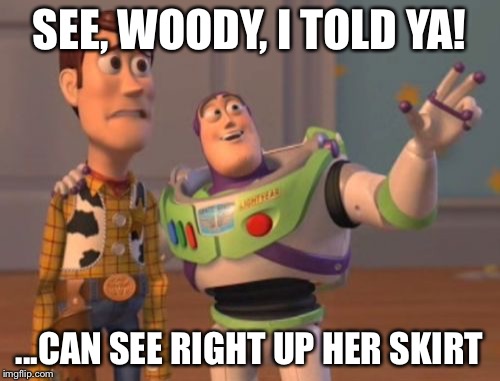 X, X Everywhere Meme | SEE, WOODY, I TOLD YA! ...CAN SEE RIGHT UP HER SKIRT | image tagged in memes,x x everywhere | made w/ Imgflip meme maker
