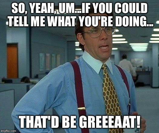 That Would Be Great | SO, YEAH, UM...IF YOU COULD TELL ME WHAT YOU'RE DOING... THAT'D BE GREEEAAT! | image tagged in memes,that would be great | made w/ Imgflip meme maker
