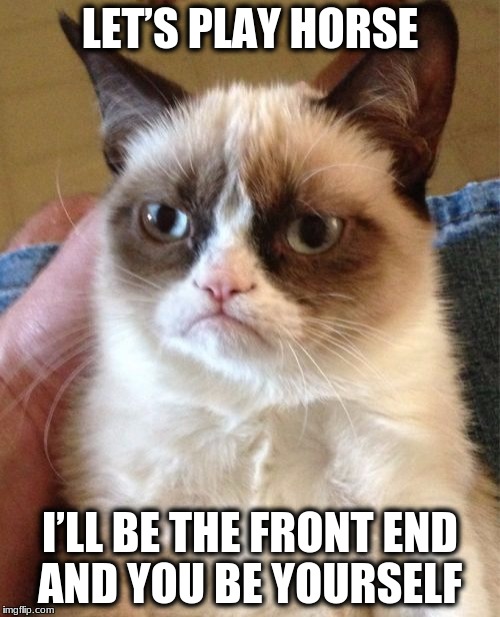Grumpy Cat Meme | LET’S PLAY HORSE; I’LL BE THE FRONT END AND YOU BE YOURSELF | image tagged in memes,grumpy cat | made w/ Imgflip meme maker
