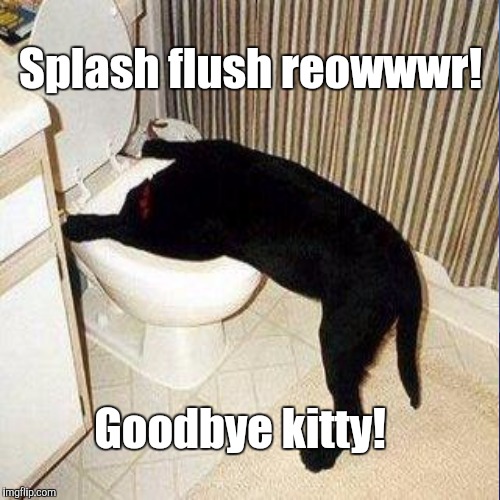 Splash flush reowwwr! Goodbye kitty! | made w/ Imgflip meme maker