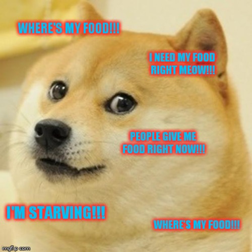 Doge | WHERE'S MY FOOD!!! I NEED MY FOOD RIGHT MEOW!!! PEOPLE GIVE ME FOOD RIGHT NOW!!! I'M STARVING!!! WHERE'S MY FOOD!!! | image tagged in memes,doge | made w/ Imgflip meme maker