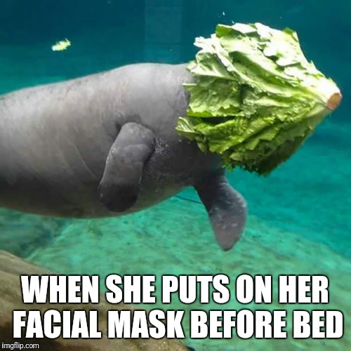 WHEN SHE PUTS ON HER FACIAL MASK BEFORE BED | image tagged in wife | made w/ Imgflip meme maker