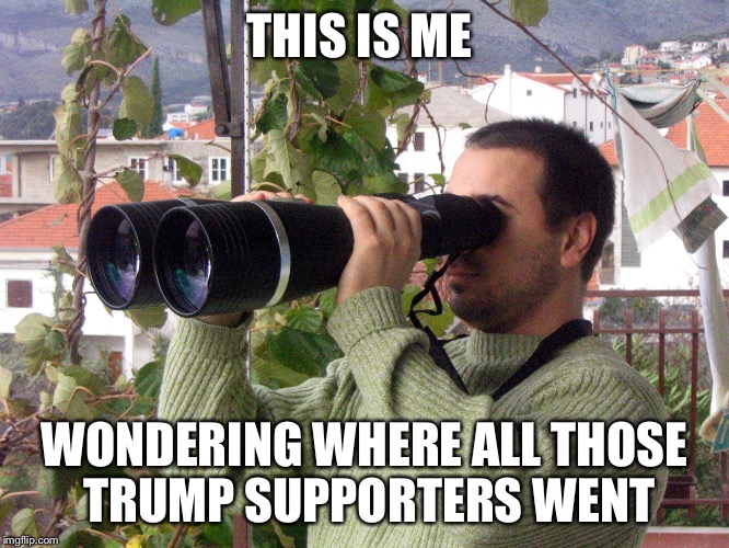 They used to be everywhere  | THIS IS ME; WONDERING WHERE ALL THOSE TRUMP SUPPORTERS WENT | image tagged in donald trump | made w/ Imgflip meme maker