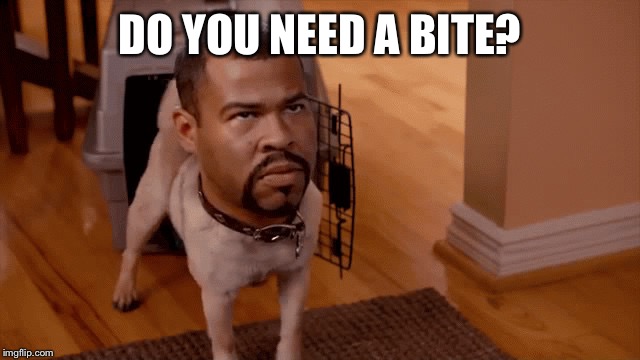 Cause thats how you get bites. | DO YOU NEED A BITE? | image tagged in noice,bite you,rawr,grrr,meme | made w/ Imgflip meme maker