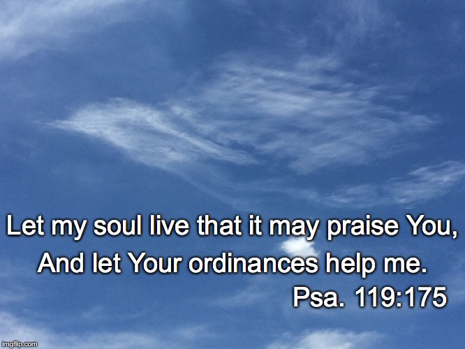 Let my soul live that it may praise You, And let Your ordinances help me. Psa. 119:175 | image tagged in soul | made w/ Imgflip meme maker