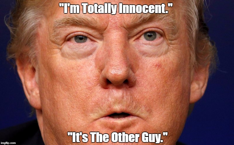 "I'm Totally Innocent." "It's The Other Guy." | made w/ Imgflip meme maker