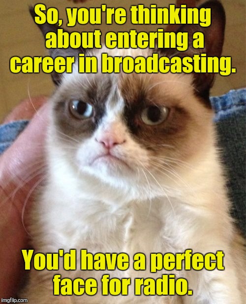 Take a moment and think about it.  | So, you're thinking about entering a career in broadcasting. You'd have a perfect face for radio. | image tagged in memes,grumpy cat,your face,new job | made w/ Imgflip meme maker