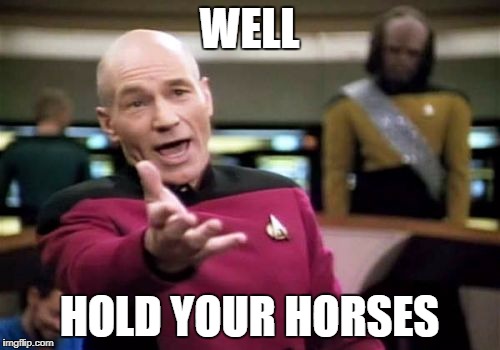 Picard Wtf Meme | WELL HOLD YOUR HORSES | image tagged in memes,picard wtf | made w/ Imgflip meme maker