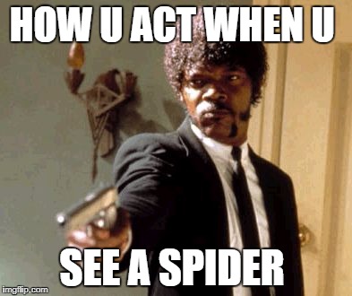 Say That Again I Dare You | HOW U ACT WHEN U; SEE A SPIDER | image tagged in memes,say that again i dare you | made w/ Imgflip meme maker