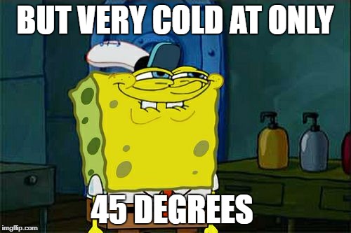 BUT VERY COLD AT ONLY 45 DEGREES | image tagged in memes,dont you squidward | made w/ Imgflip meme maker